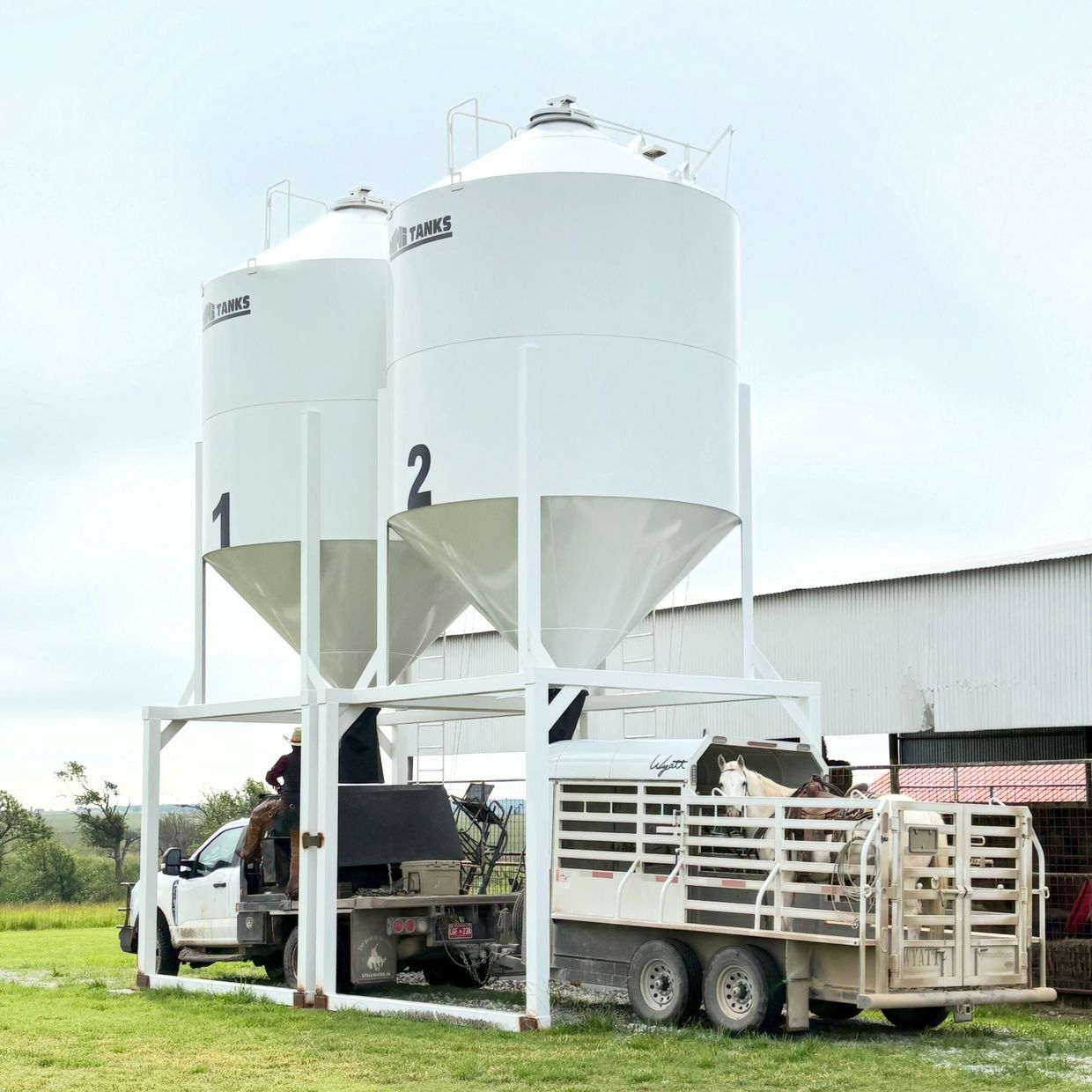 White silos with trucks and a horse in a trailer.