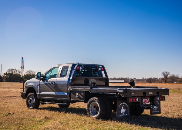 Silver pickup truck on a grassy field under clear blue sky.
