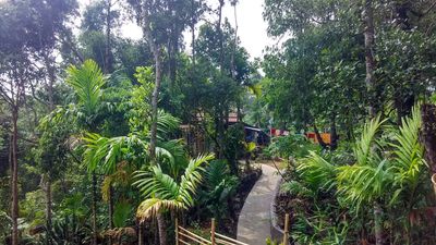 Beautiful Pathway of Mawlynnong Village.