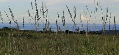 View of Bangladesh Plains & the Beautiful Sky, in the way to Pynter, Meghalaya.