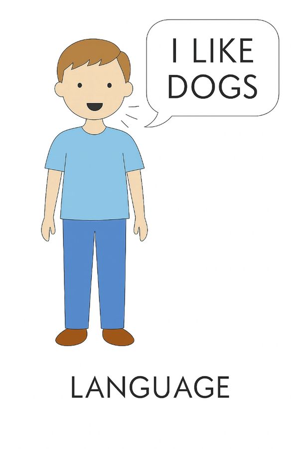 Speech therapy language support for children in grange north brisbane