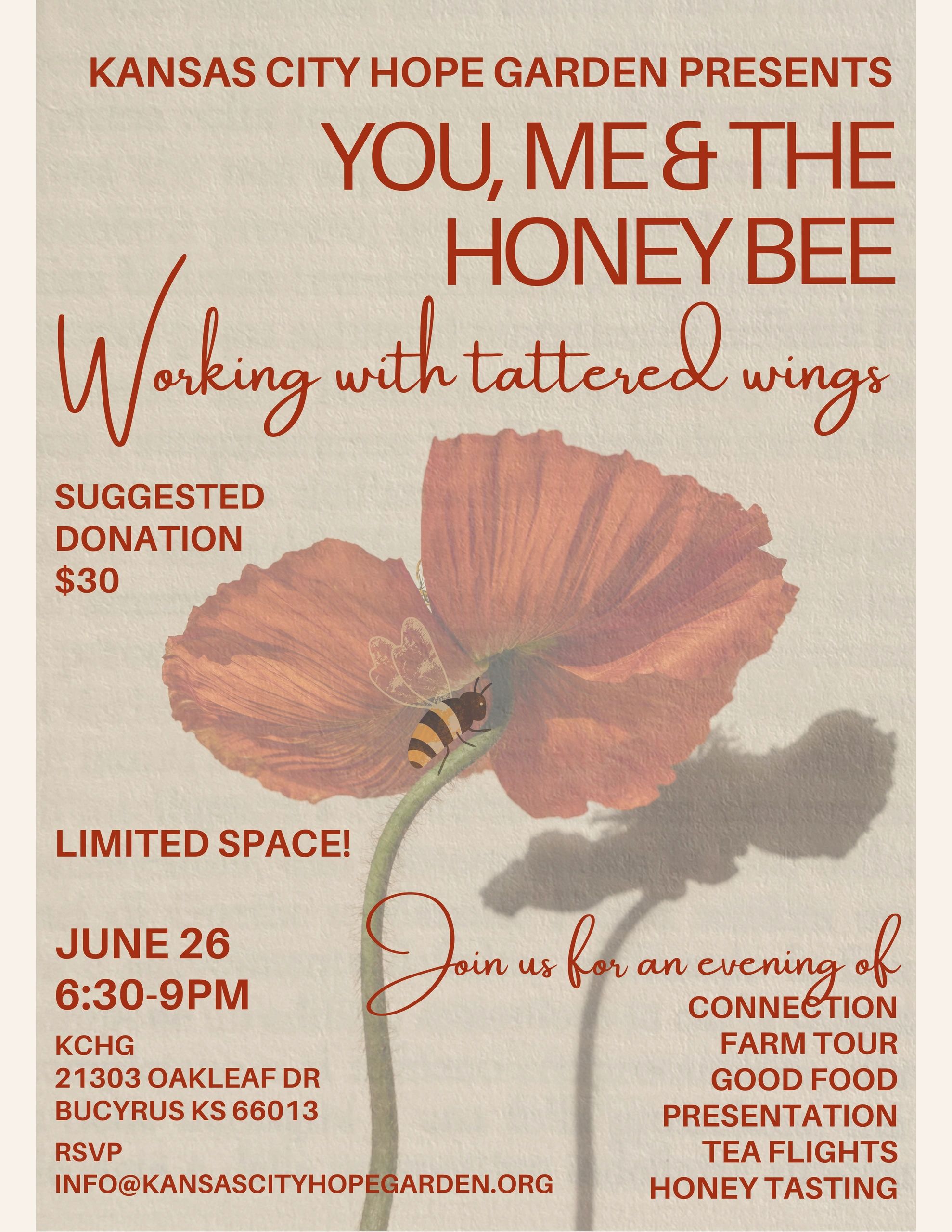 Illustration of a bee on a large red flower with soft texture.