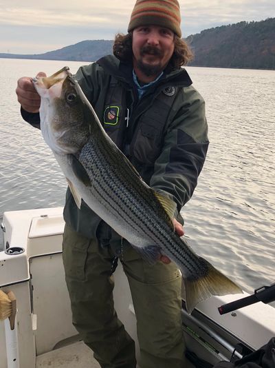 Beltzville lake striper Lunker! Contest 