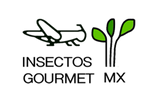 insectosgourmet.com.mx