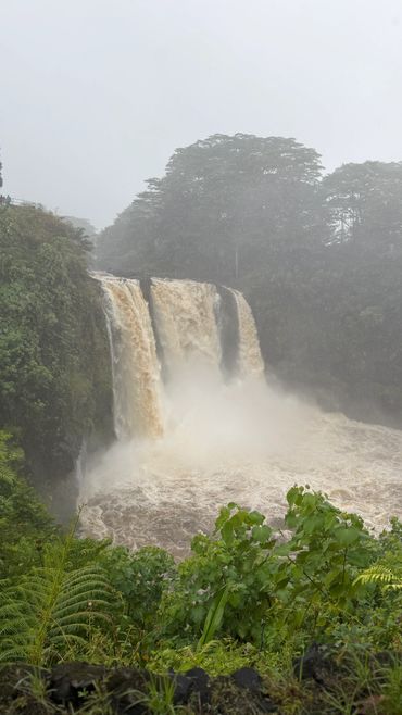A powerful waterfall surrounded by lush greenery and mist.