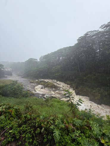 A rushing river flows through a dense, rainy forest landscape.
