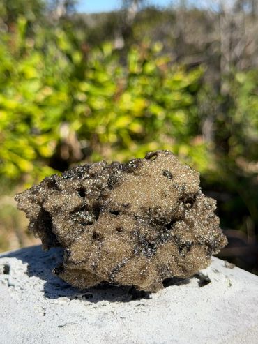 Close-up of a textured, brownish natural object on a stone surface with a blurred green background.
