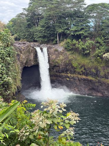 A waterfall cascading into a serene pool surrounded by lush greenery.