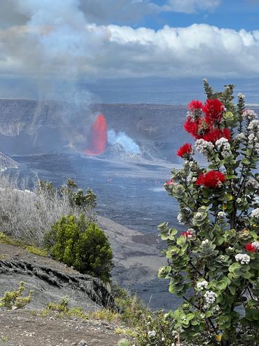Lava erupting from a volcanic crater with vibrant red flowers in the foreground.
