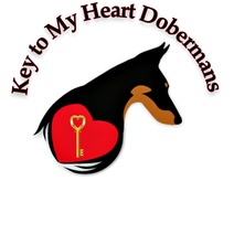 Key To My Heart Dobermans