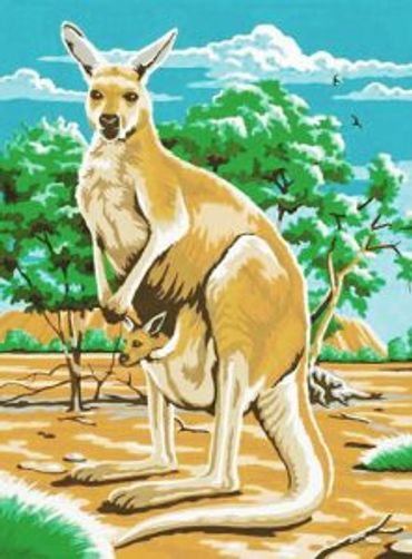 Kangaroo with joey in pouch in the Australian outback 