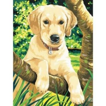 Labrador retriever puppy perched on a low tree branch in high grass