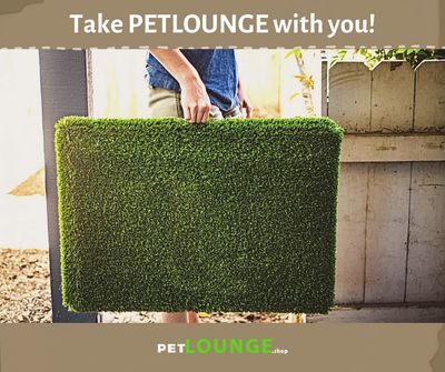 PETLOUNGE Potty Pad Made In America!