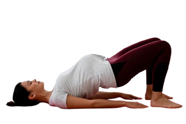 Pregnant lady exercise at Movhabily Physiotherapy Tambaram, Chennai. Neuro Physiotherapist available