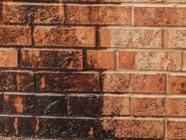 Before and After process of pressure washing