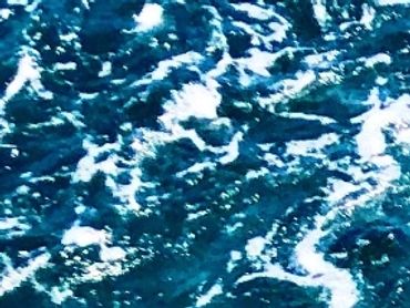 Bounce House Rentals Reno
Bounce House Rentals Agnes
Bounce House Rentals Lakeside