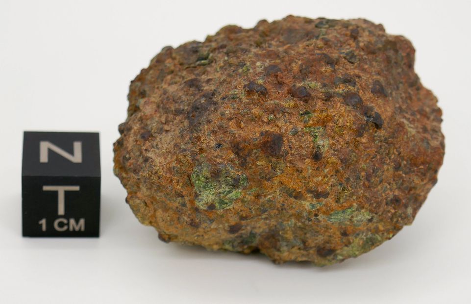 Rare meteorites for sale