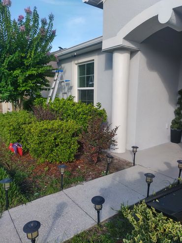Front yard of a house with green shrubs and a ladder.