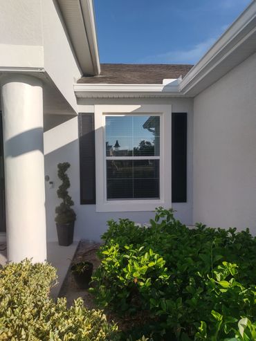 Front window with black shutters and green plants.