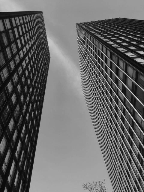 Modern Chicago residential buildings by architect Mies van de Rohe. Photocredit: Ruth B. Sosniak