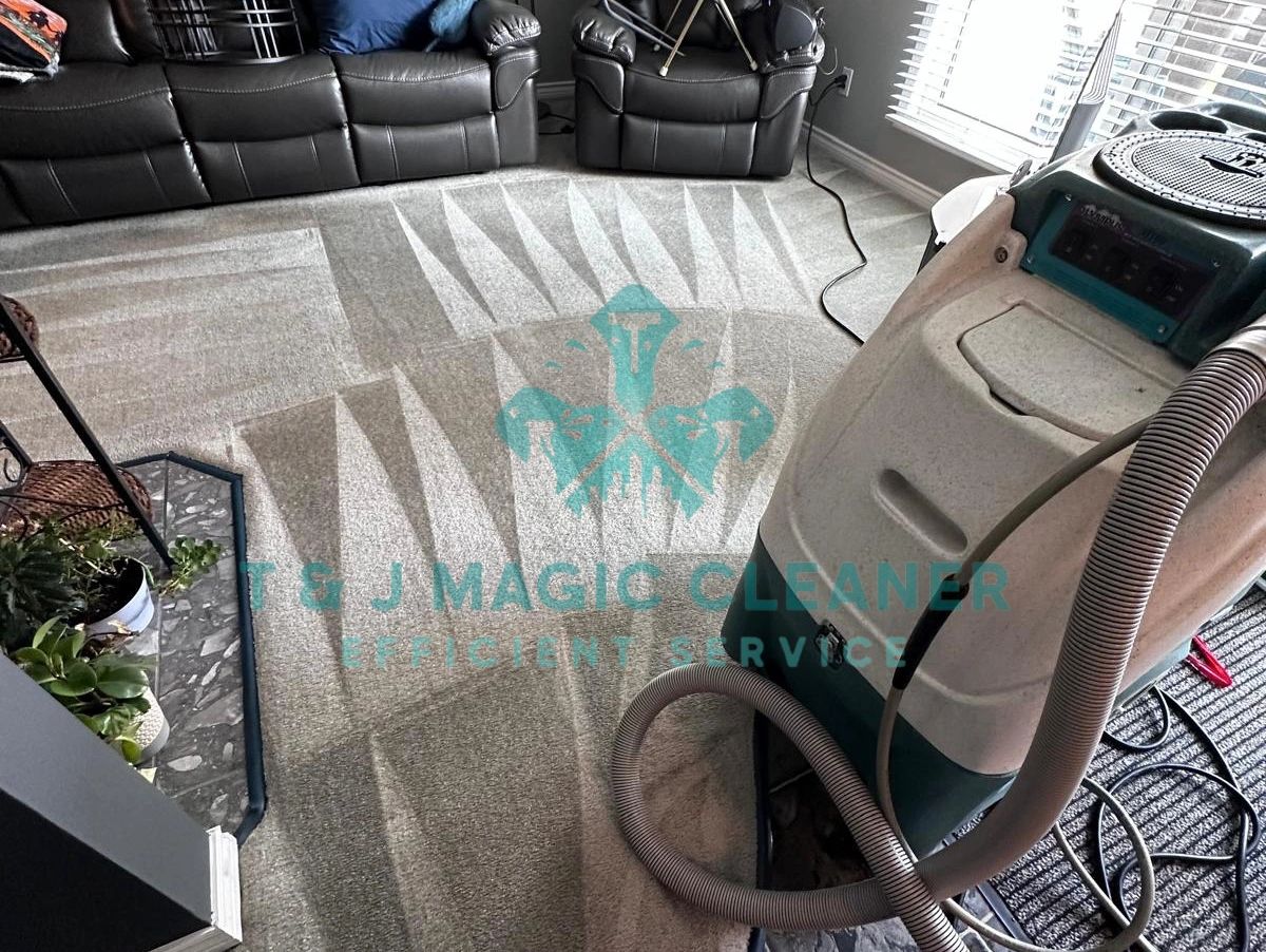 Living room with freshly cleaned carpet and cleaning equipment.