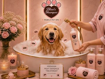 Golden retriever enjoying a bubble bath at Blue's Shampoo mobile pet spa.