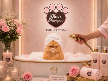 A fluffy cat enjoys a bubble bath at Blue's Shampoo mobile pet spa.