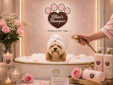A dog enjoying a luxurious bath at Blue's Shampoo mobile pet spa.