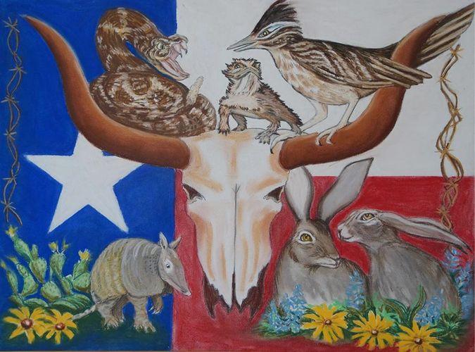 Don't Mess with Texas