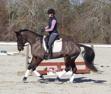 A rider in a helmet on a brown horse trotting in an outdoor arena.