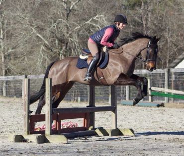 A rider jumps a horse over an obstacle in an outdoor arena.