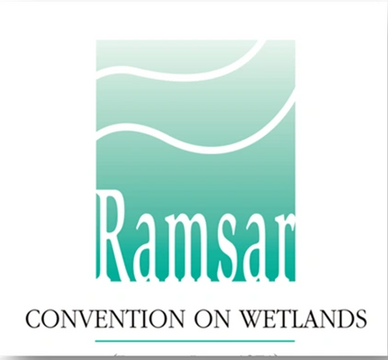 RAMSAR Convention on Wetlands