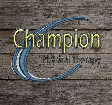 embroidered school youth sport logo champion therapy