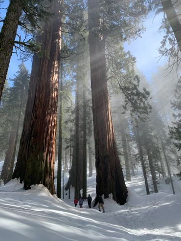 Three Rivers BnBs Vacation Homes Vacation Rentals