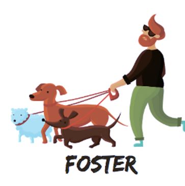 foster dogs