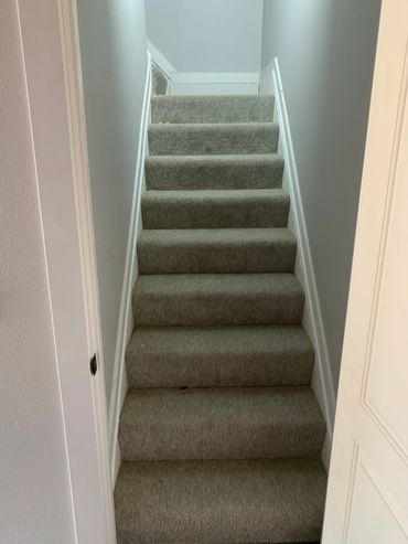 Carpeted staircase with neutral walls and white trim.