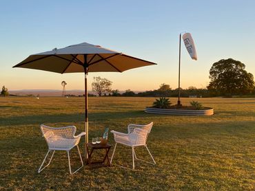 View - what view ?! You can't miss it at FigTree - there are views everywhere!