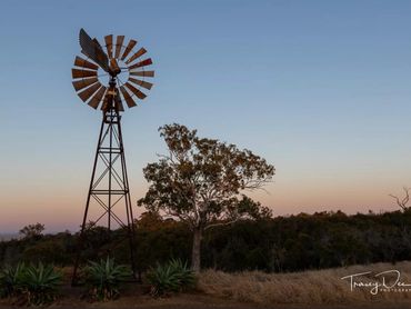 The Windmill ... we love it so much as it's history is just beautiful! Ask us about the story !