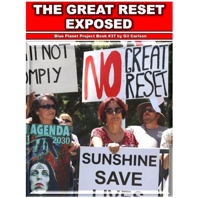 The Great Reset Exposed Book