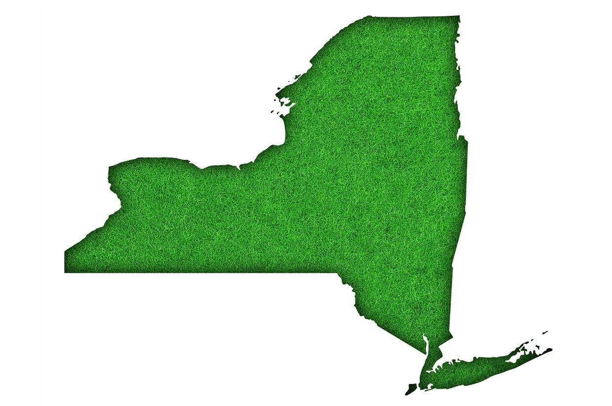 Map of New York filled with green grass texture.
