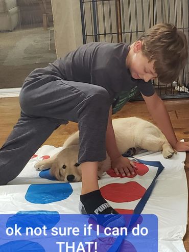 Puppy learning Twister is not so easy with new puppy parents.