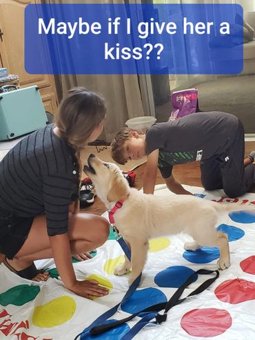 Puppy learning to use her wiles to win at Twister!