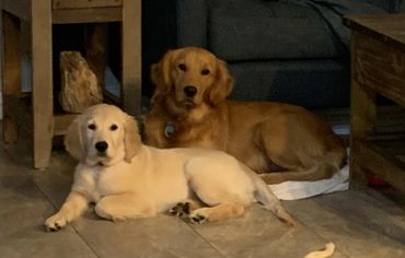 Nutmeg and her daughter Bells