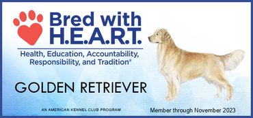 GoldenPuppyDog is a member in the Bred with Heart by the American Kennel Club organization.