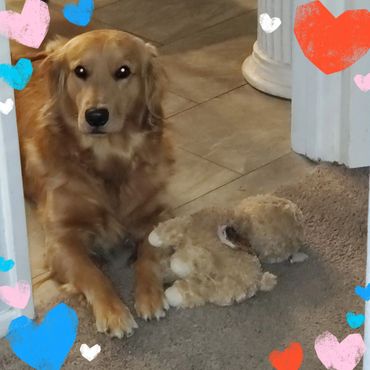 Nutmeg and her treasured alpaca from Auntie Claire,
