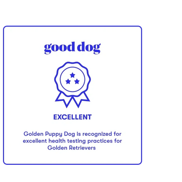 GoodDog.com Awarded Golden Puppy Dog an Excellent for Health testing and breeding.