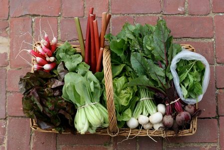 CSA Community Supported Agriculture