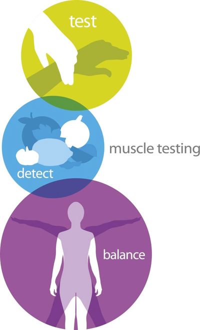 muscle testing for optimal health
