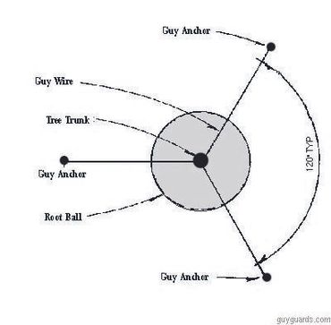 Guy wire installation top view