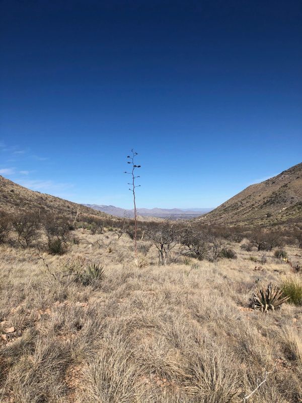 View from the civil engineering job site in Arizona